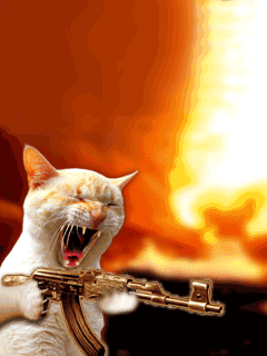 这是有多大仇啊